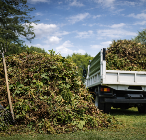 Yard Waste Removal
